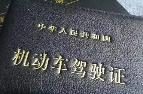 驾照翻译件去哪里办理？驾照翻译需要多少钱