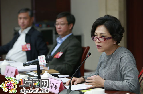 全国人大代表、重庆市川剧院院长沈铁梅在代表小组会议上发言。 特派记者 李文科 摄